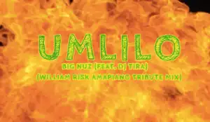 Big Nuz - Umlilo (William Risk Amapiano Tribute  Mix) Ft. DJ Tira